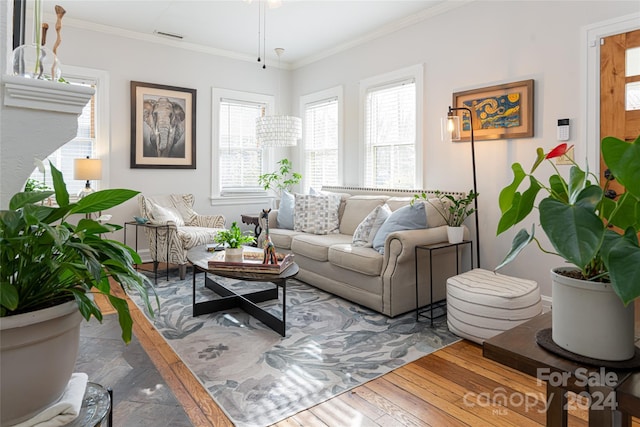 living room featuring crown molding and wood-type flooring