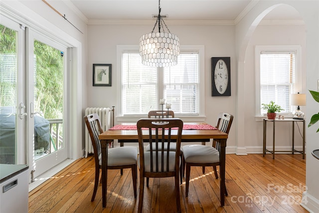 dining space with light hardwood / wood-style floors, radiator, a wealth of natural light, and a chandelier