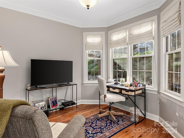 office with hardwood / wood-style flooring and crown molding