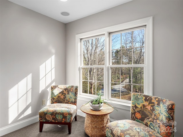 living area featuring carpet flooring and a healthy amount of sunlight