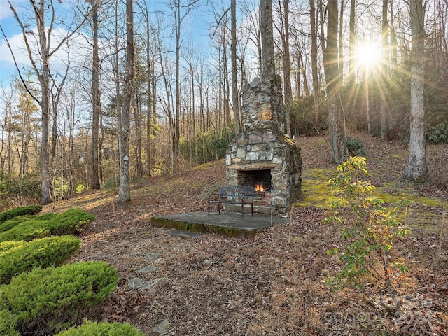 318 Freedom Trail Ct, Zirconia, NC 28790 - photo 35