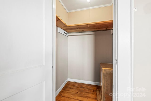 walk in closet with wood-type flooring