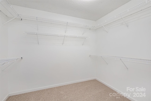 spacious closet with carpet