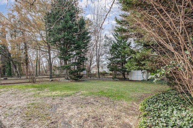 view of yard with a storage shed