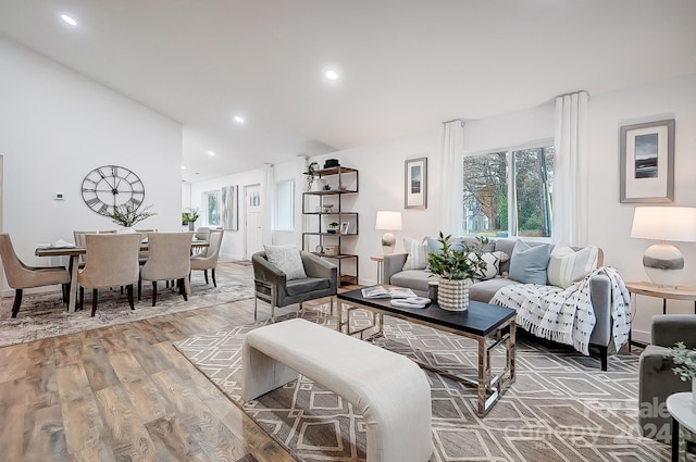 living room with wood-type flooring and vaulted ceiling