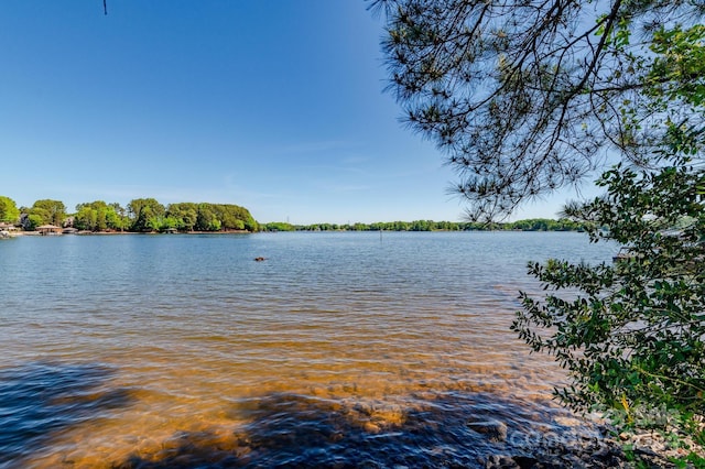 2467 Camelia Pointe Dr Unit 51, Sherrills Ford, NC 28673