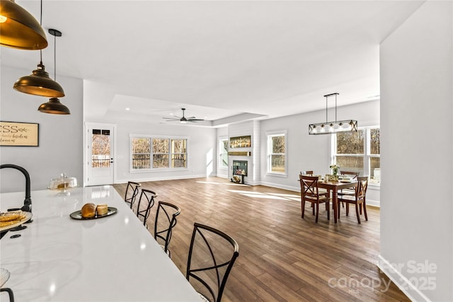 dining area featuring dark hardwood / wood-style floors, a raised ceiling, and ceiling fan