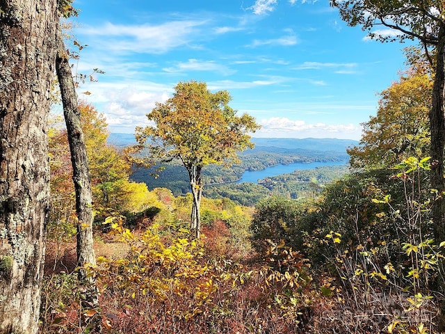 0 Spencer Ln, Lake Toxaway NC, 28747 land for sale