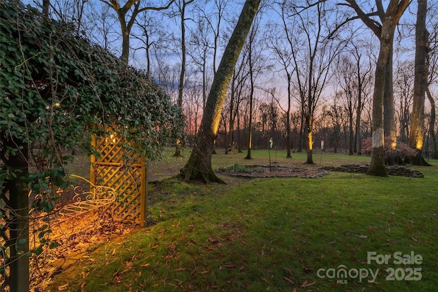 view of yard at dusk