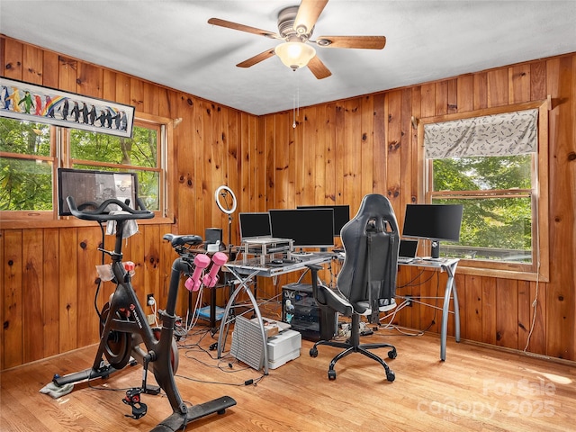 office featuring ceiling fan, light wood-type flooring, and wood walls