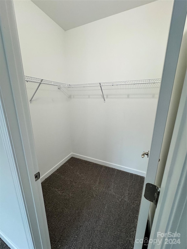 spacious closet with carpet flooring