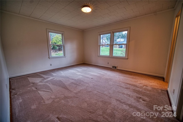 empty room with light carpet and crown molding