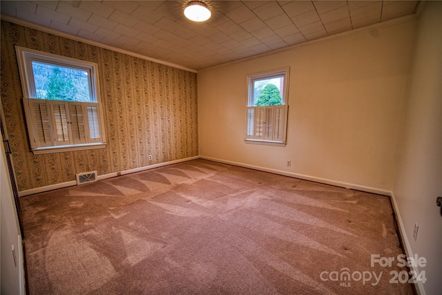 empty room with carpet and crown molding