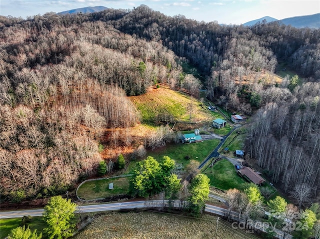 bird's eye view with a mountain view