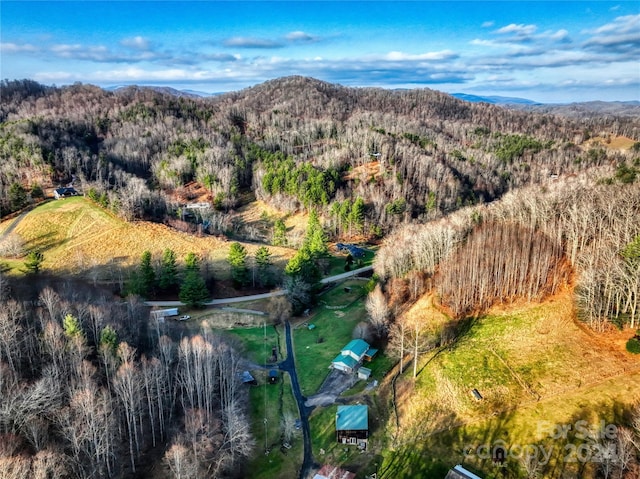 drone / aerial view featuring a mountain view