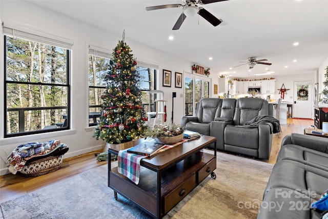 living room with plenty of natural light, ceiling fan, and light hardwood / wood-style flooring