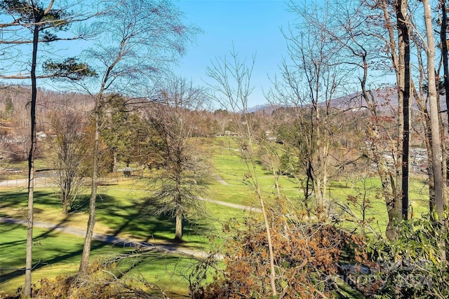 view of local wilderness featuring a mountain view