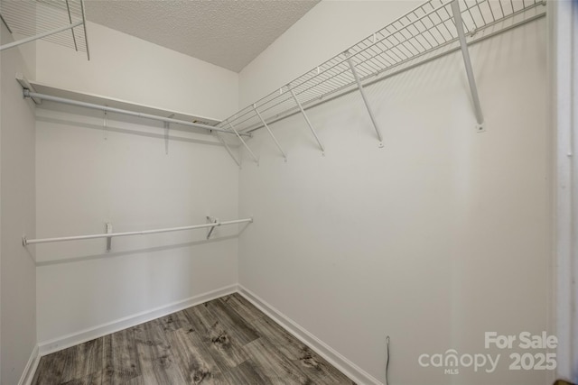 spacious closet featuring dark wood-type flooring