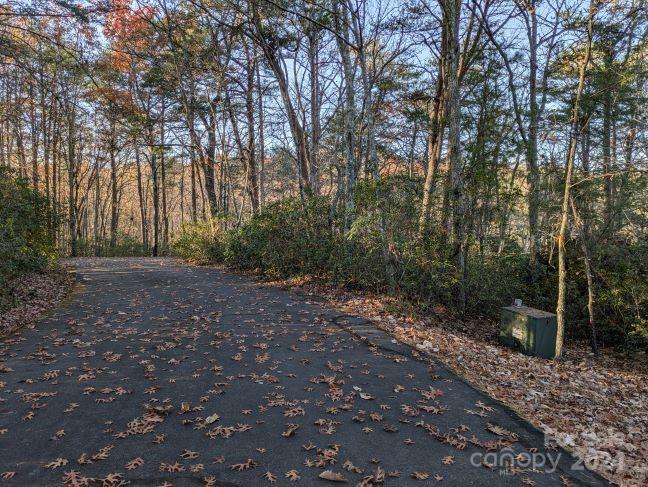 0 Willow Lane 59 & 60, Columbus, NC 28722 - photo 1