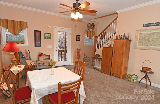 dining space with carpet floors, ceiling fan, and crown molding