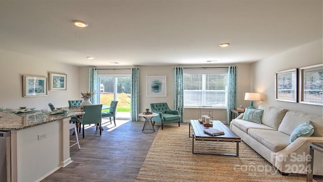 living room with wood-type flooring