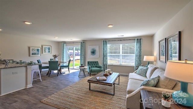 living room featuring dark wood-type flooring