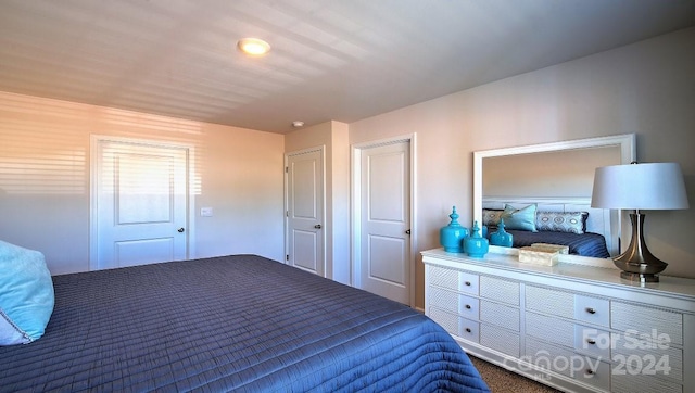 bedroom with carpet floors