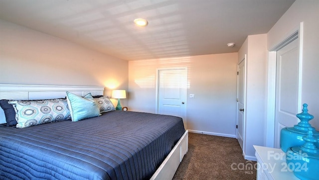 bedroom with dark carpet and a closet