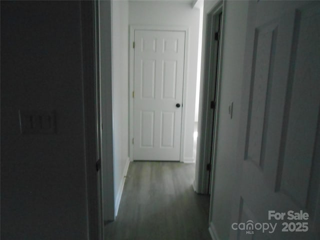 hallway featuring wood finished floors