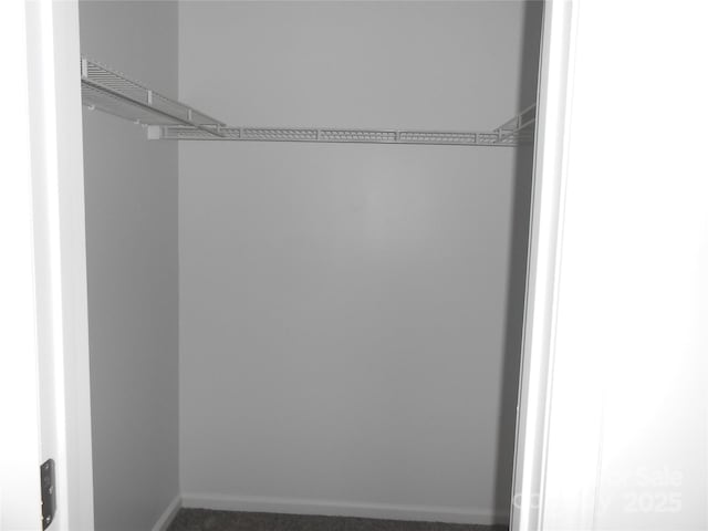 spacious closet featuring carpet flooring