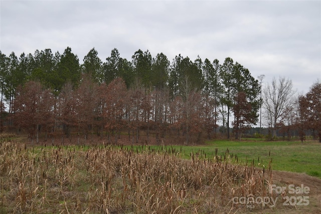 view of local wilderness featuring a rural view