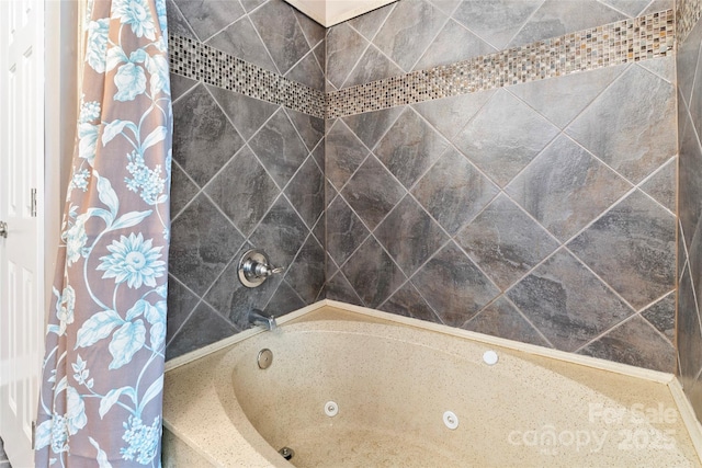 158 White Rd, Wadesboro, NC 28170 - bathroom featuring a combined bath / shower with jetted tub