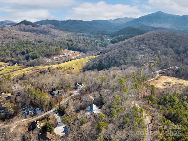 birds eye view of property with a forest view and a mountain view