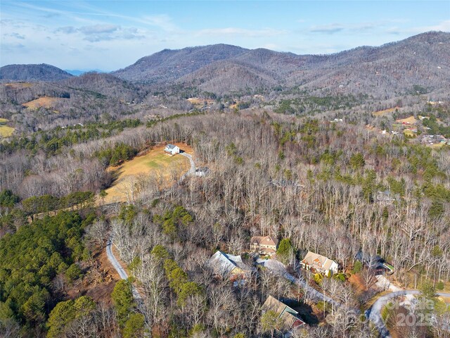 view of mountain feature featuring a view of trees