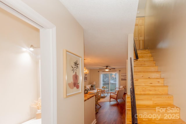 stairway featuring hardwood / wood-style flooring and ceiling fan