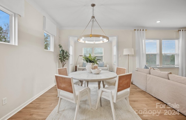 dining space with light hardwood / wood-style floors and a wealth of natural light