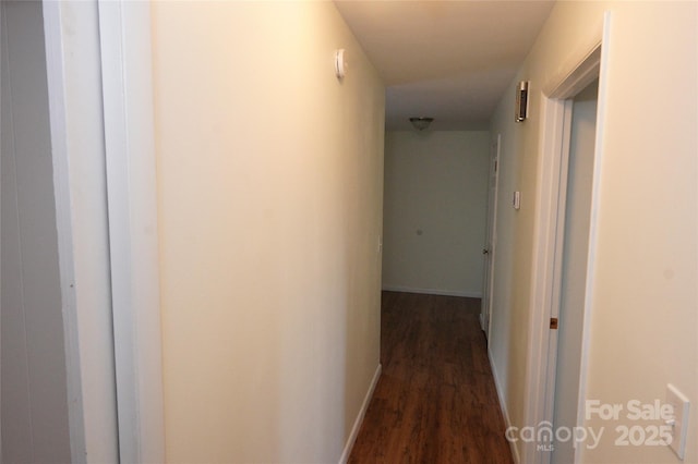 hallway with dark hardwood / wood-style flooring