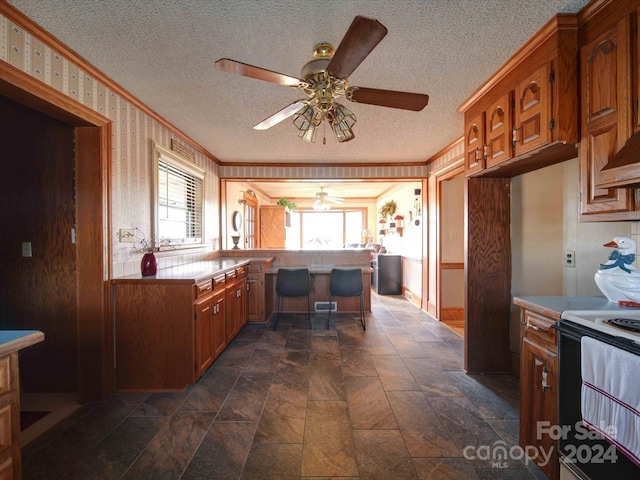 kitchen with ornamental molding, a textured ceiling, stainless steel electric stove, and a healthy amount of sunlight