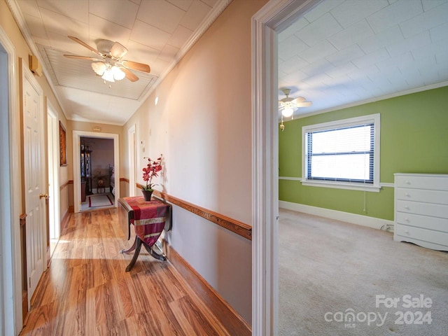 corridor featuring light wood-type flooring and crown molding