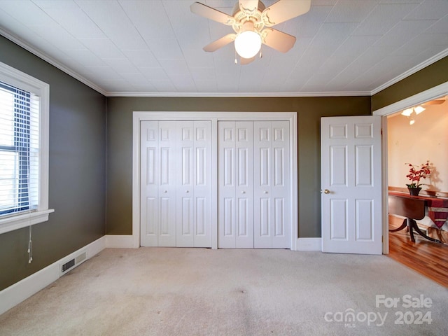 carpeted bedroom featuring multiple closets, crown molding, and ceiling fan