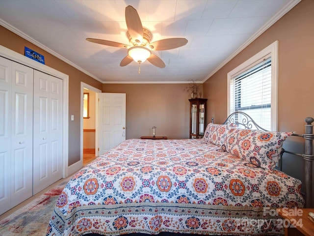 bedroom with ceiling fan, a closet, and crown molding