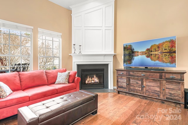 living room with wood-type flooring and a fireplace