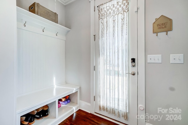 mudroom with dark hardwood / wood-style floors