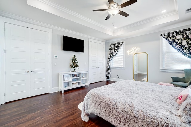 bedroom featuring dark hardwood / wood-style floors, a raised ceiling, multiple windows, and ceiling fan