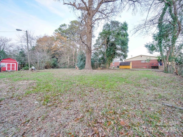 view of yard with a storage shed