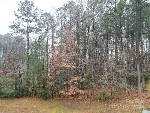 44 Cottonwood Dr, Denver, NC 28037 - photo 5