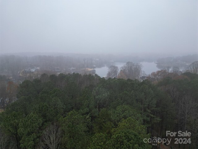 44 Cottonwood Dr, Denver, NC 28037 - photo 9