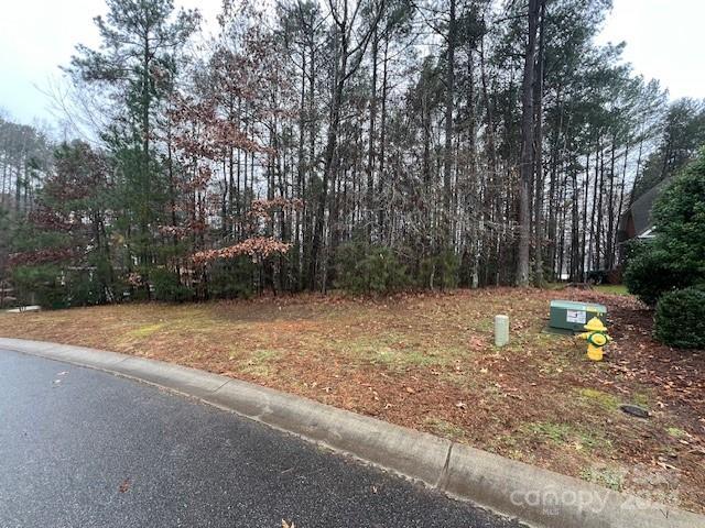 44 Cottonwood Dr, Denver, NC 28037 - photo 10