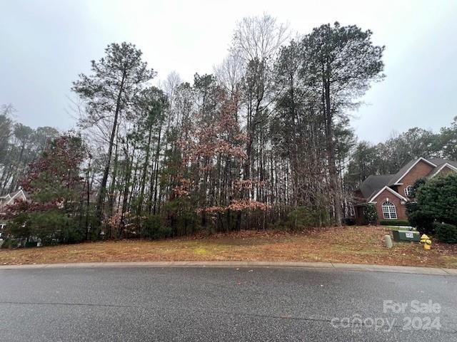 44 Cottonwood Dr, Denver, NC 28037 - photo 11