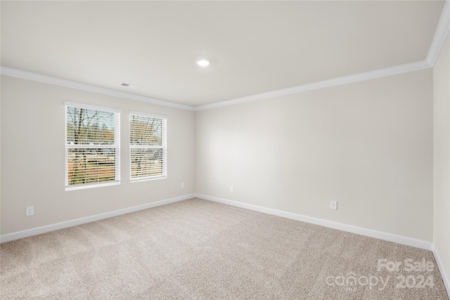 carpeted spare room with crown molding